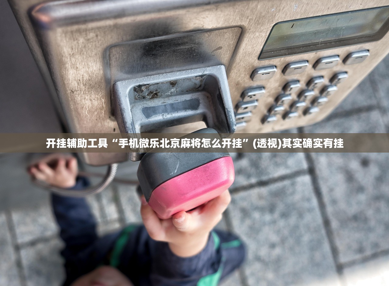 开挂辅助工具“手机微乐北京麻将怎么开挂”(透视)其实确实有挂