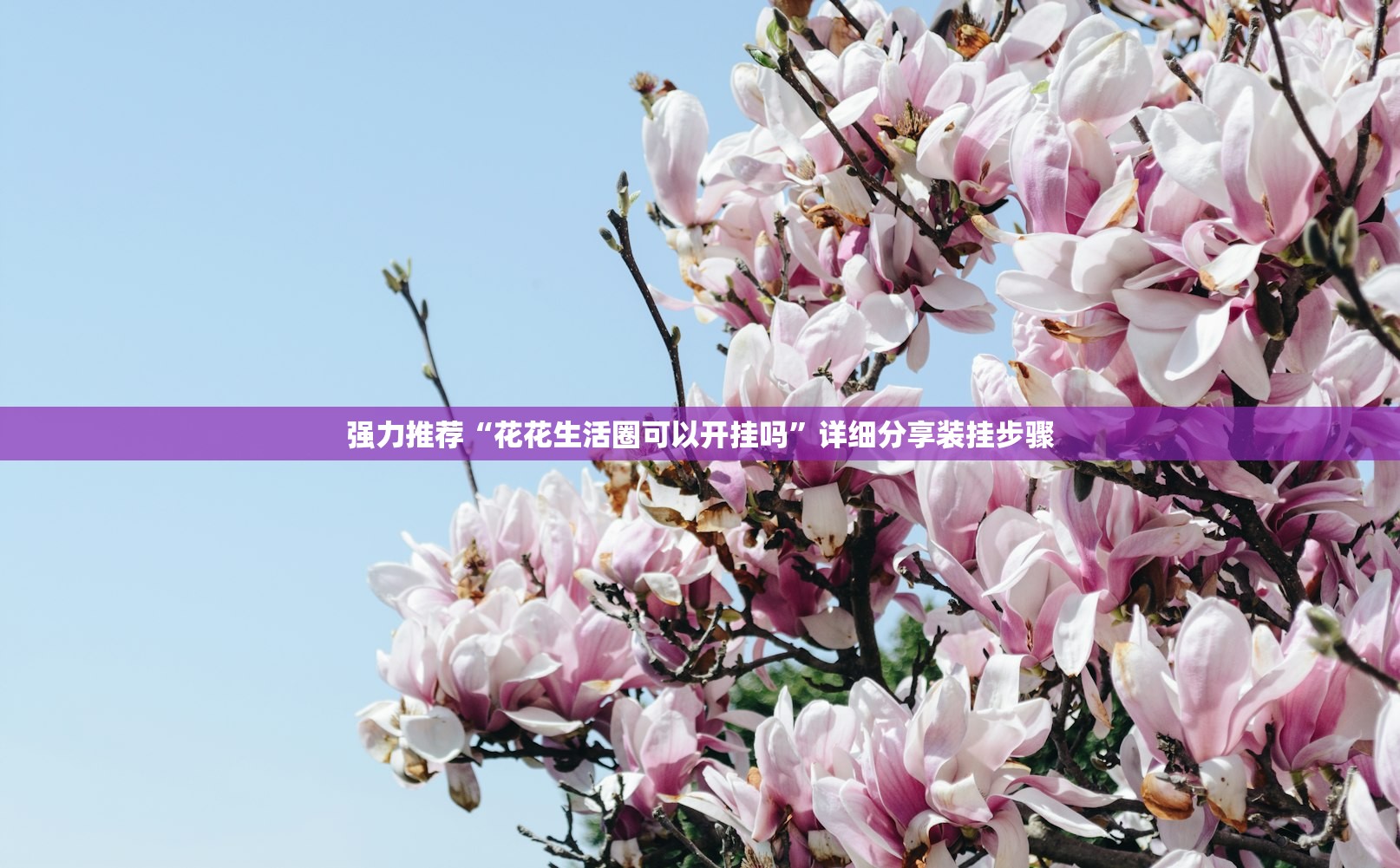 强力推荐“花花生活圈可以开挂吗”详细分享装挂步骤