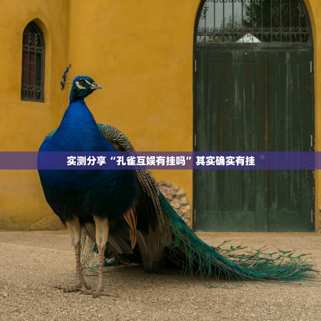 辅助神器“卡丁互娱透视挂下载”科技辅助神器手机版