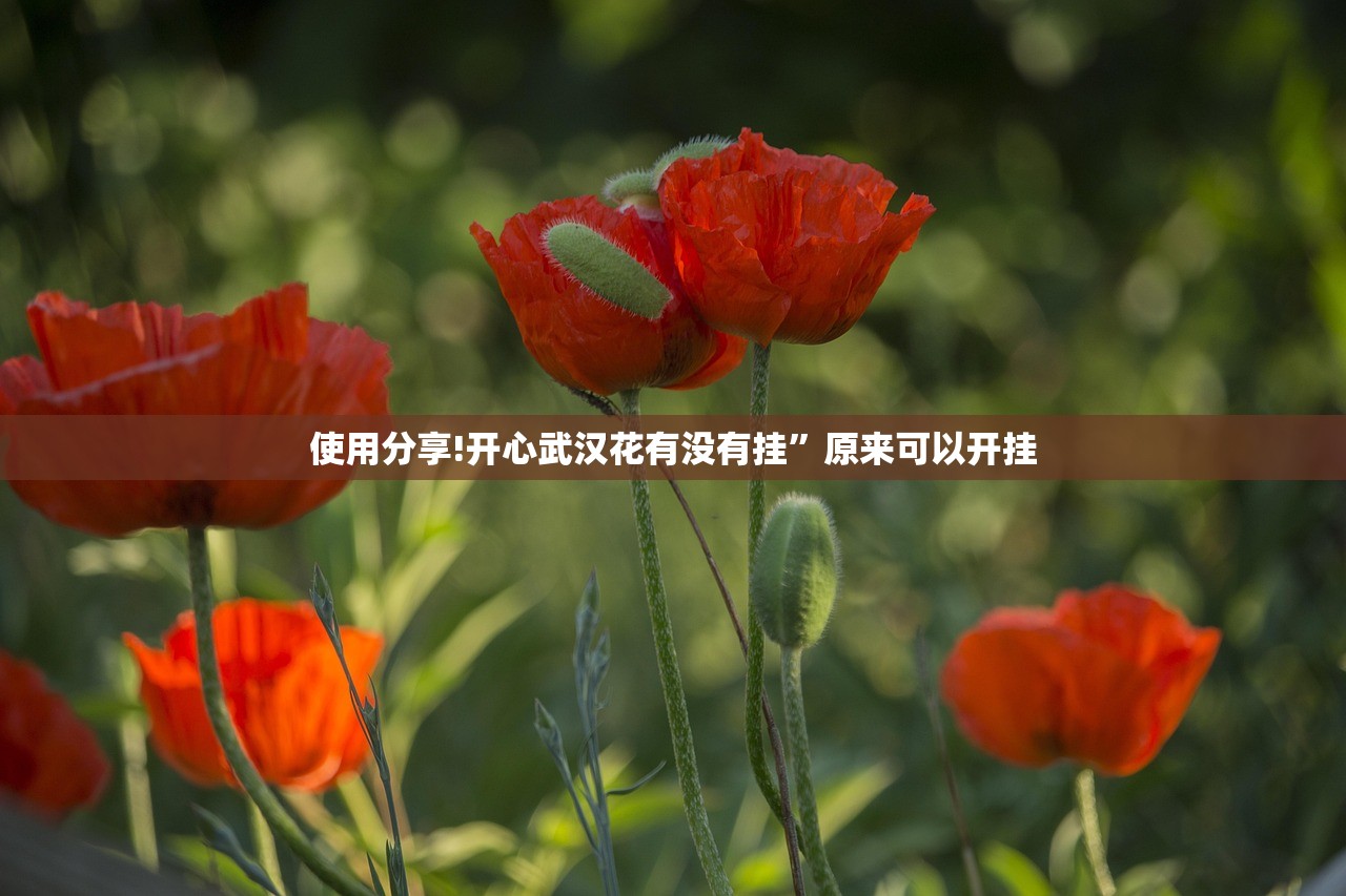 31省新增确诊20例（31省新增确诊22例含本土12例）
