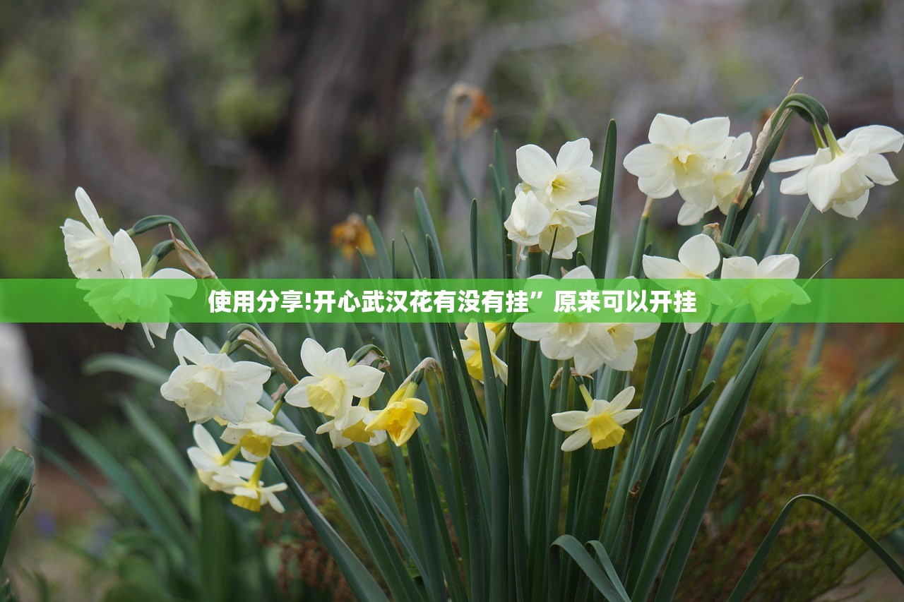 使用分享!开心武汉花有没有挂”原来可以开挂