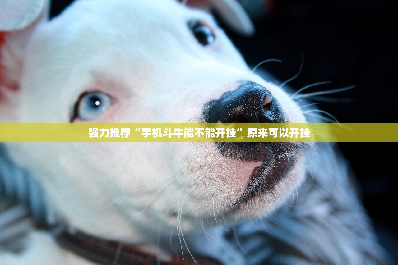 玩家辅助神器：琼戏互娱麻将有没有挂”细辅助教程分享