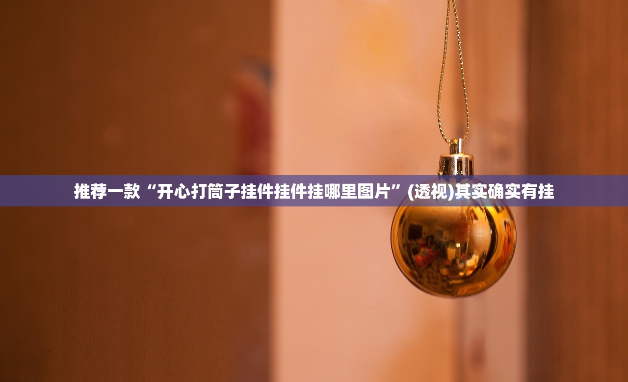 推荐一款“开心打筒子挂件挂件挂哪里图片”(透视)其实确实有挂